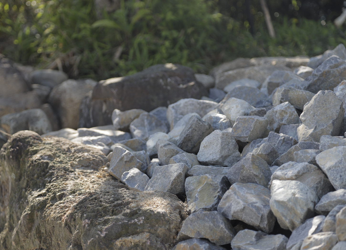 佐々木勝敏建築設計事務所 ／ 愛知県を拠点とする設計事務所 建築家