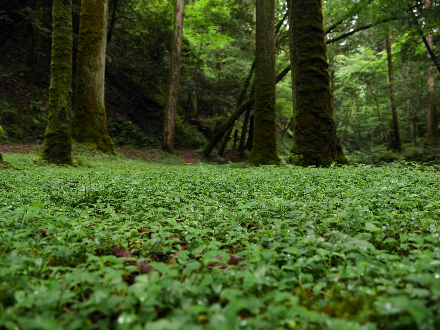 佐々木勝敏建築設計事務所 ／ 愛知県を拠点とする設計事務所 建築家