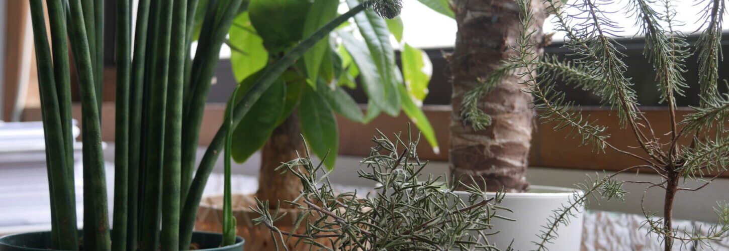 佐々木勝敏建築設計事務所 ／ 愛知県を拠点とする設計事務所 建築家