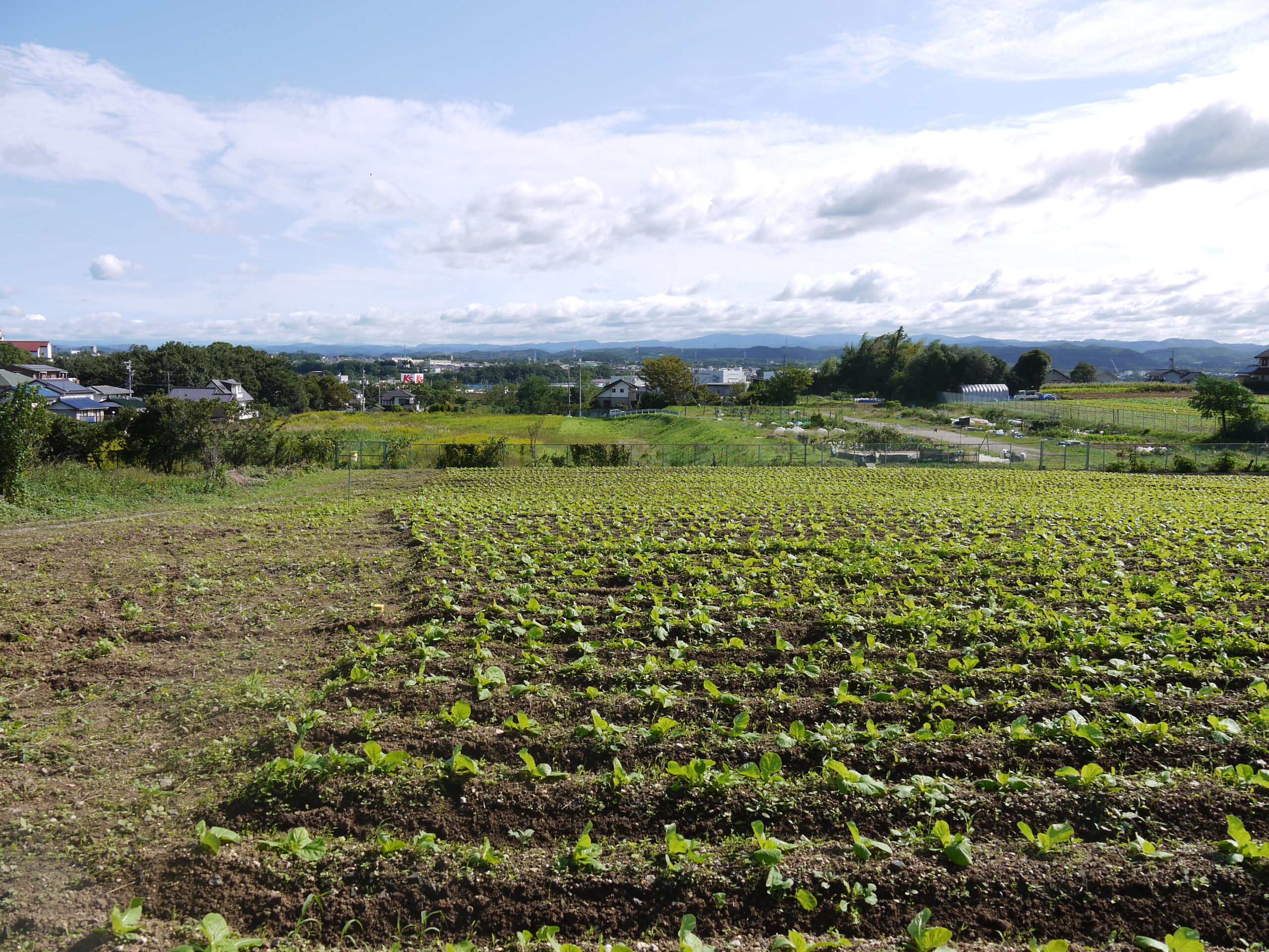佐々木勝敏建築設計事務所 ／ 愛知県を拠点とする設計事務所 建築家