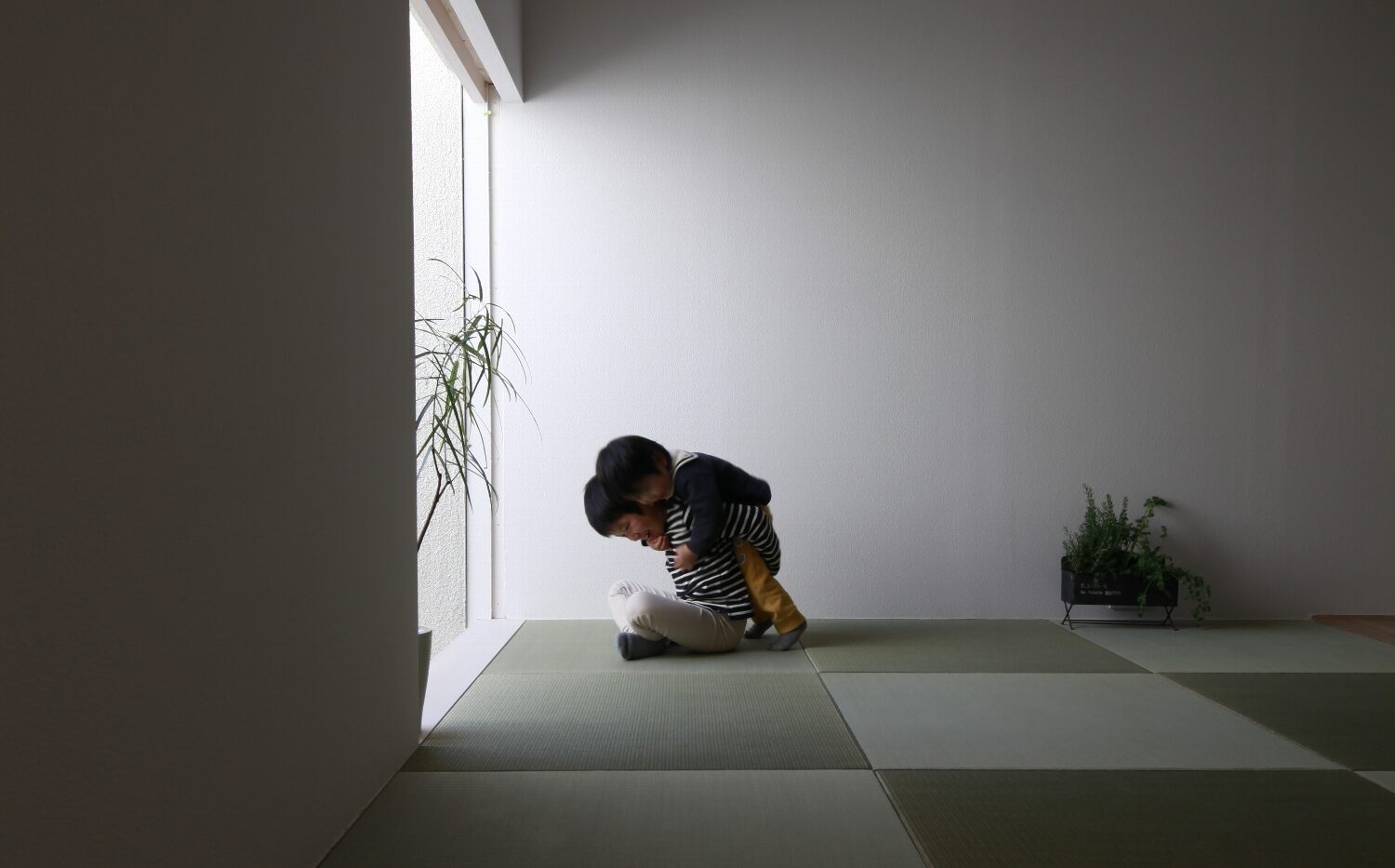 佐々木勝敏建築設計事務所 ／ 愛知県を拠点とする設計事務所 建築家